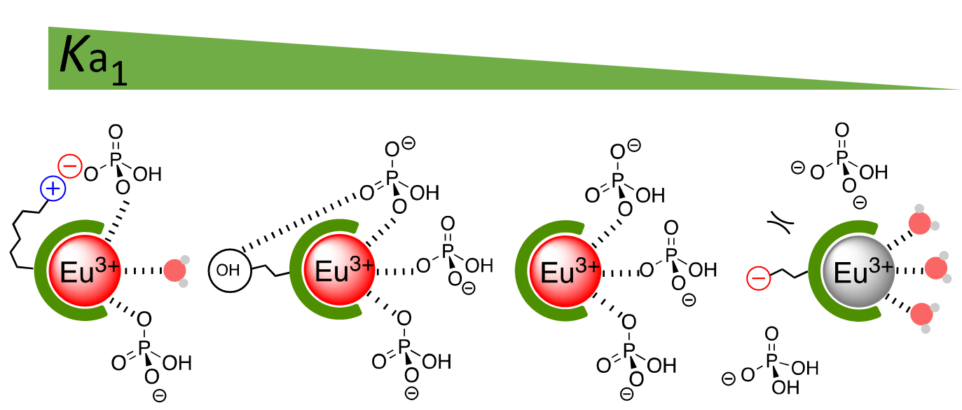 TOC for A Combination of Factors: Tuning the Affinity of Europium Receptors for Phosphate in Water