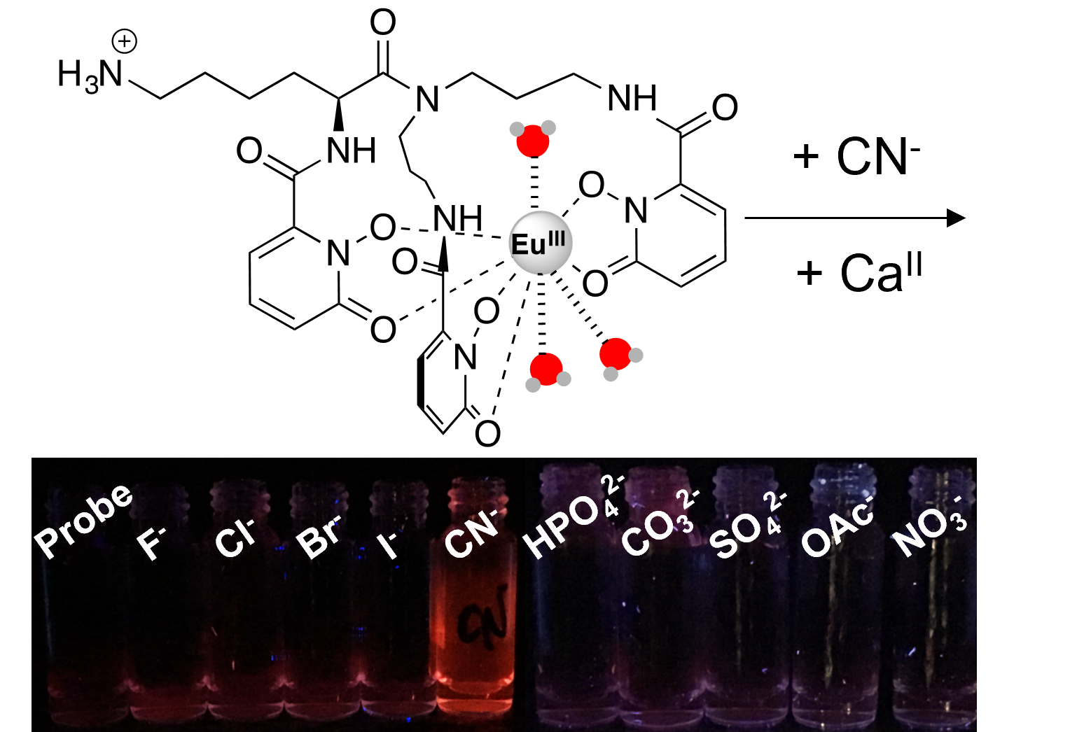 TOC for A turn-on luminescent europium probe for cyanide detection in water