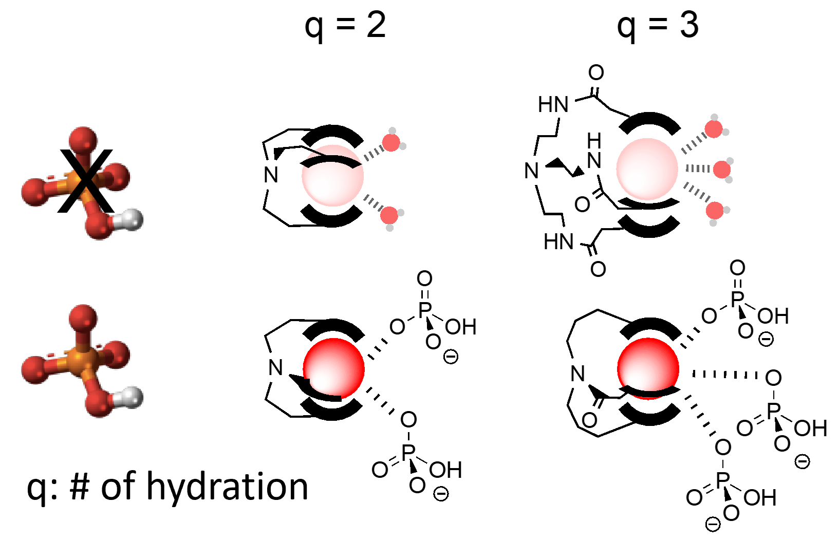 TOC for The Ligand Cap Affects the Coordination Number but Not Necessarily the Affinity for Anions of Tris-Bidentate Europium Complexes
