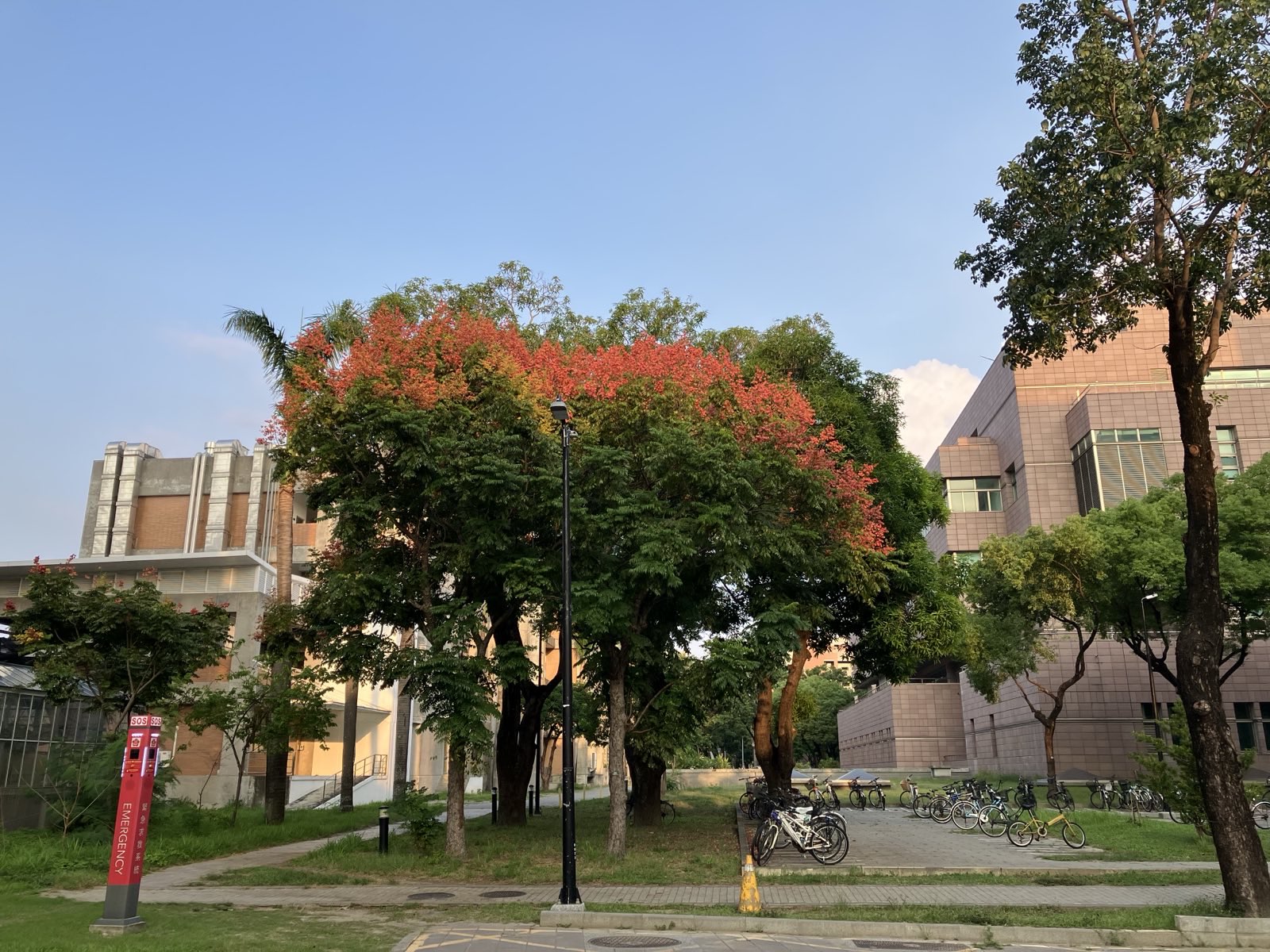 Fall colors outside the Chemistry building!